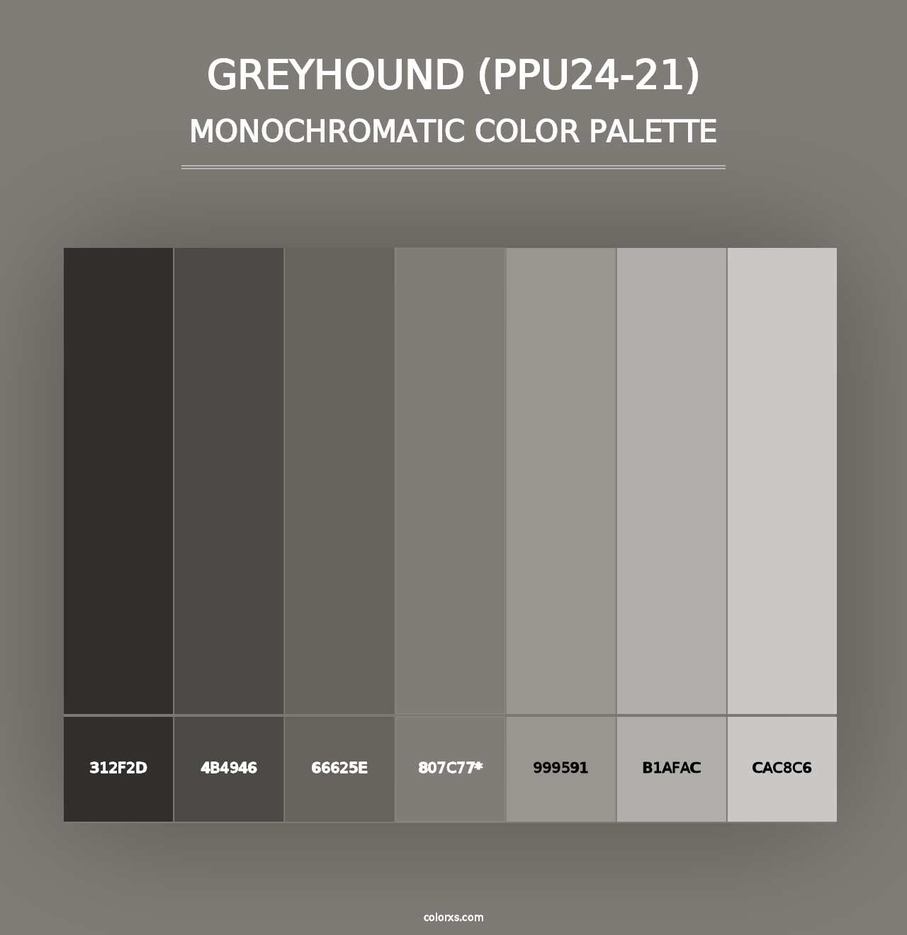 Greyhound (PPU24-21) - Monochromatic Color Palette