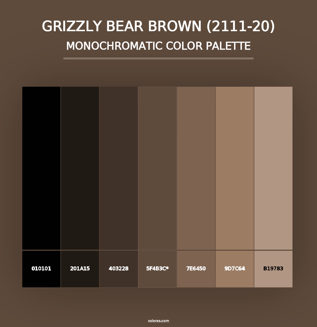 Grizzly Bear Brown (2111-20) - Monochromatic Color Palette