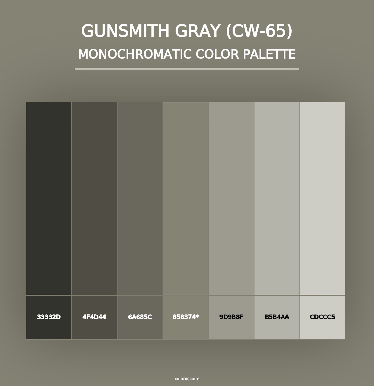 Gunsmith Gray (CW-65) - Monochromatic Color Palette