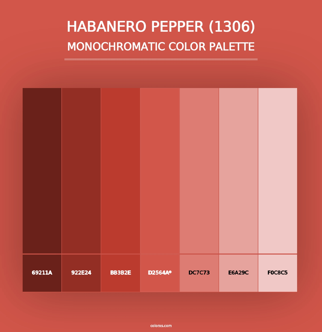 Habanero Pepper (1306) - Monochromatic Color Palette