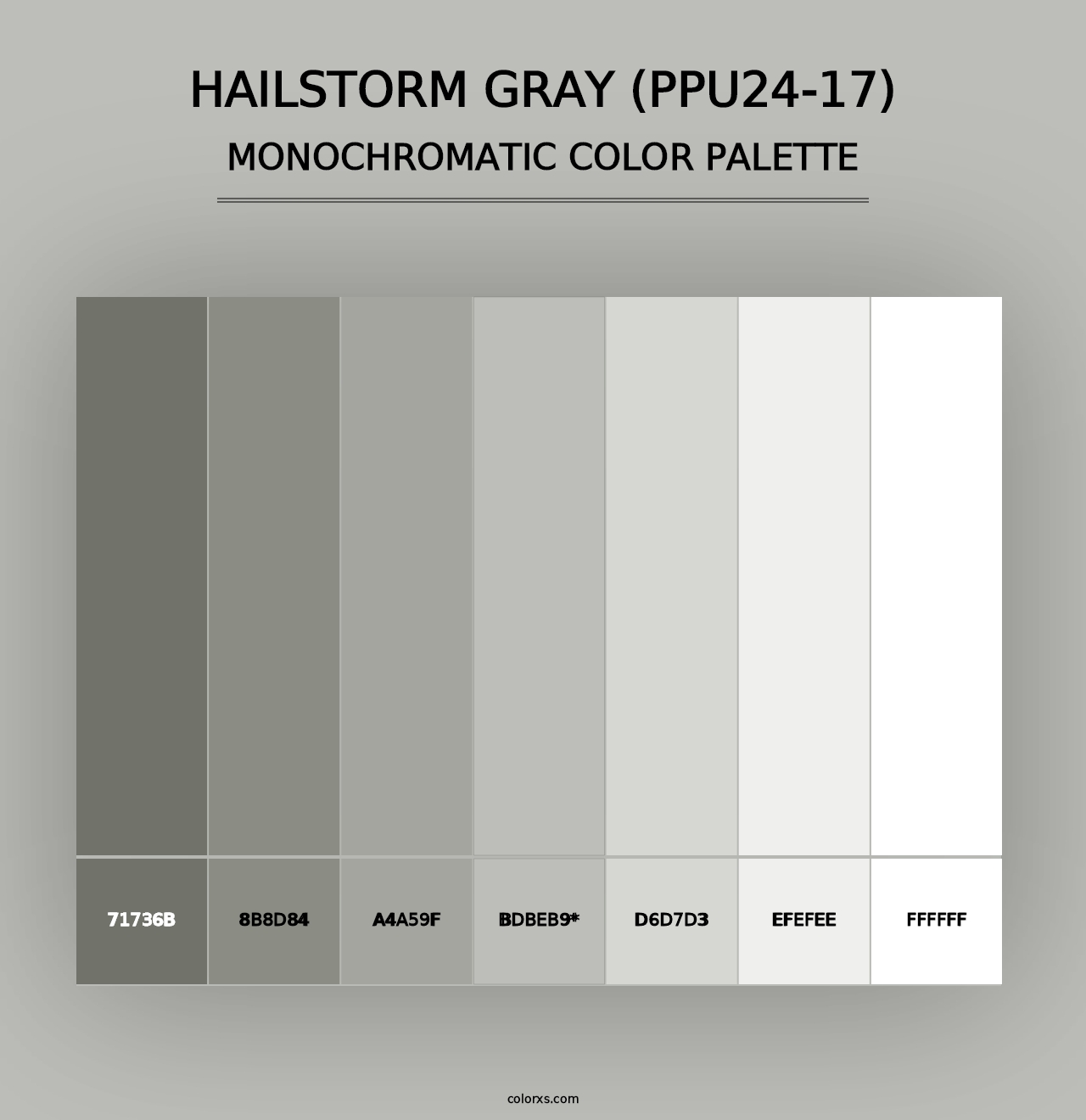 Hailstorm Gray (PPU24-17) - Monochromatic Color Palette