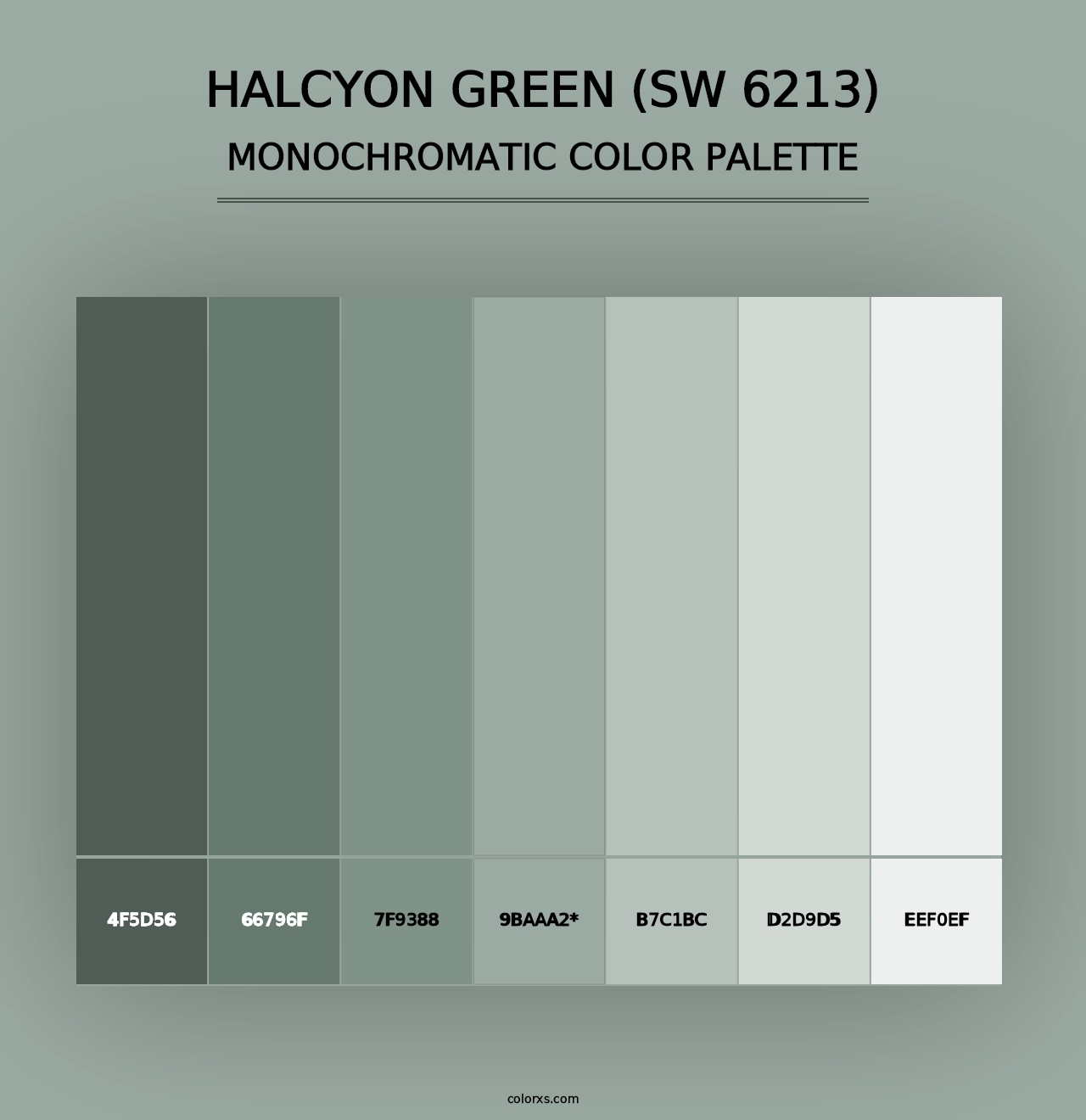 Halcyon Green (SW 6213) - Monochromatic Color Palette