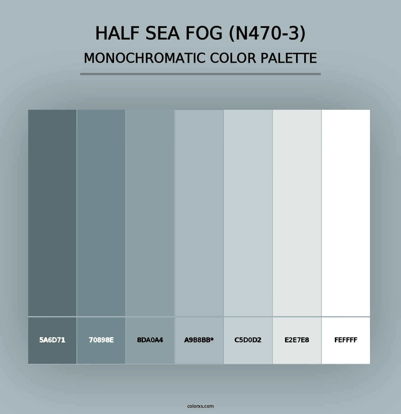 Half Sea Fog (N470-3) - Monochromatic Color Palette