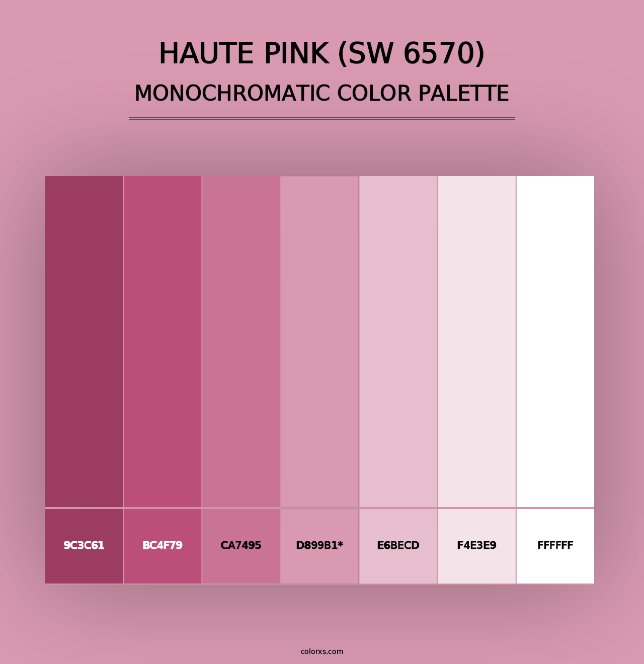 Haute Pink (SW 6570) - Monochromatic Color Palette