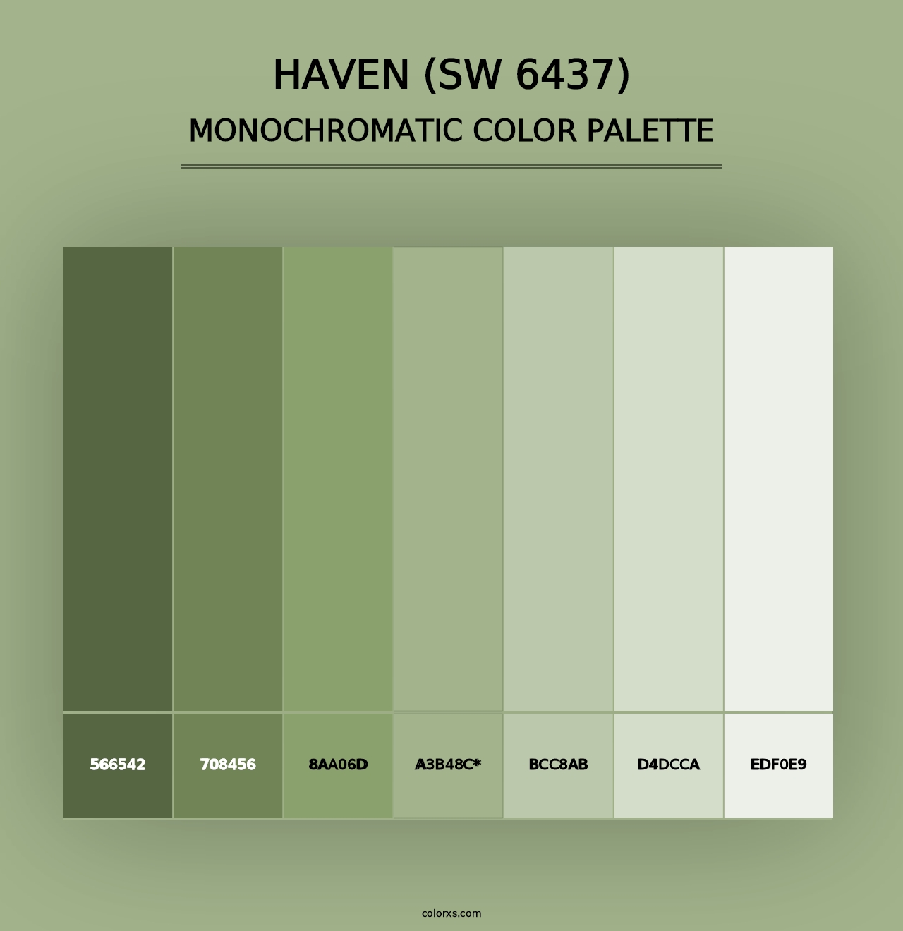 Haven (SW 6437) - Monochromatic Color Palette