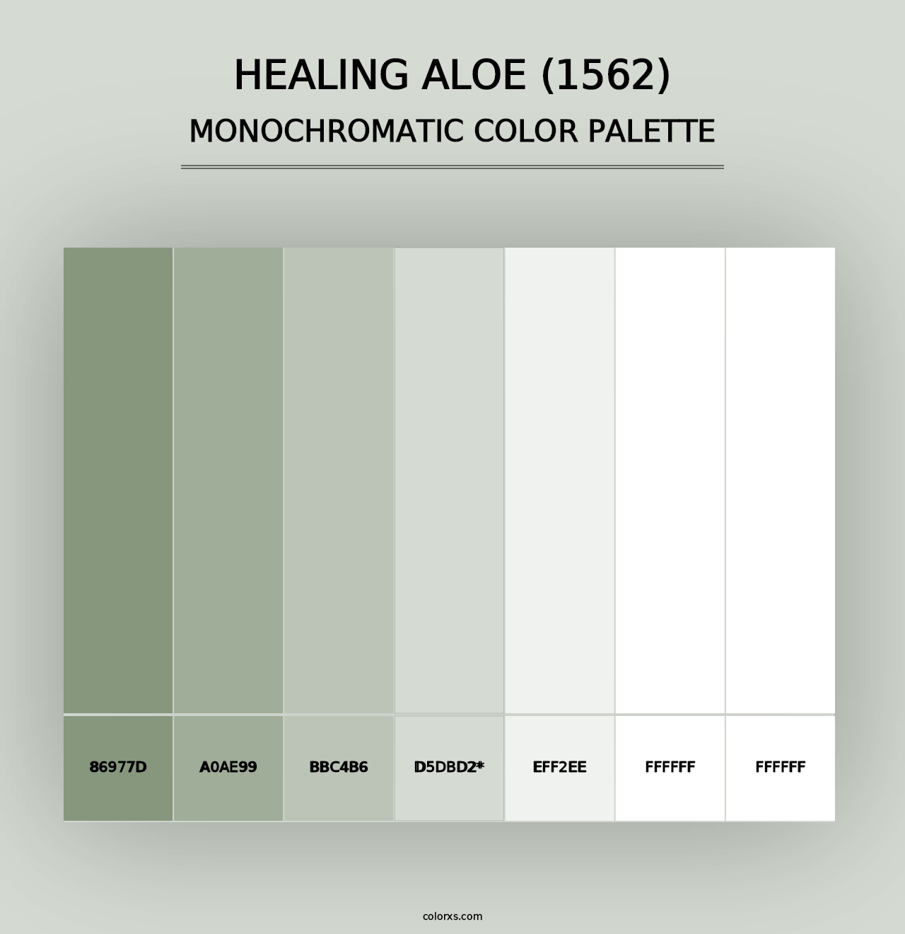 Healing Aloe (1562) - Monochromatic Color Palette