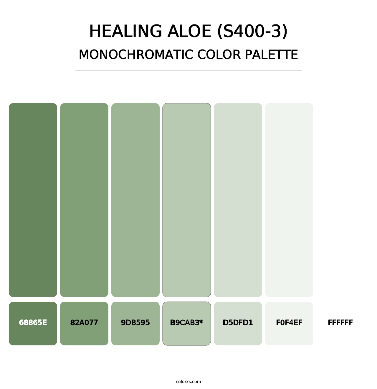 Healing Aloe (S400-3) - Monochromatic Color Palette