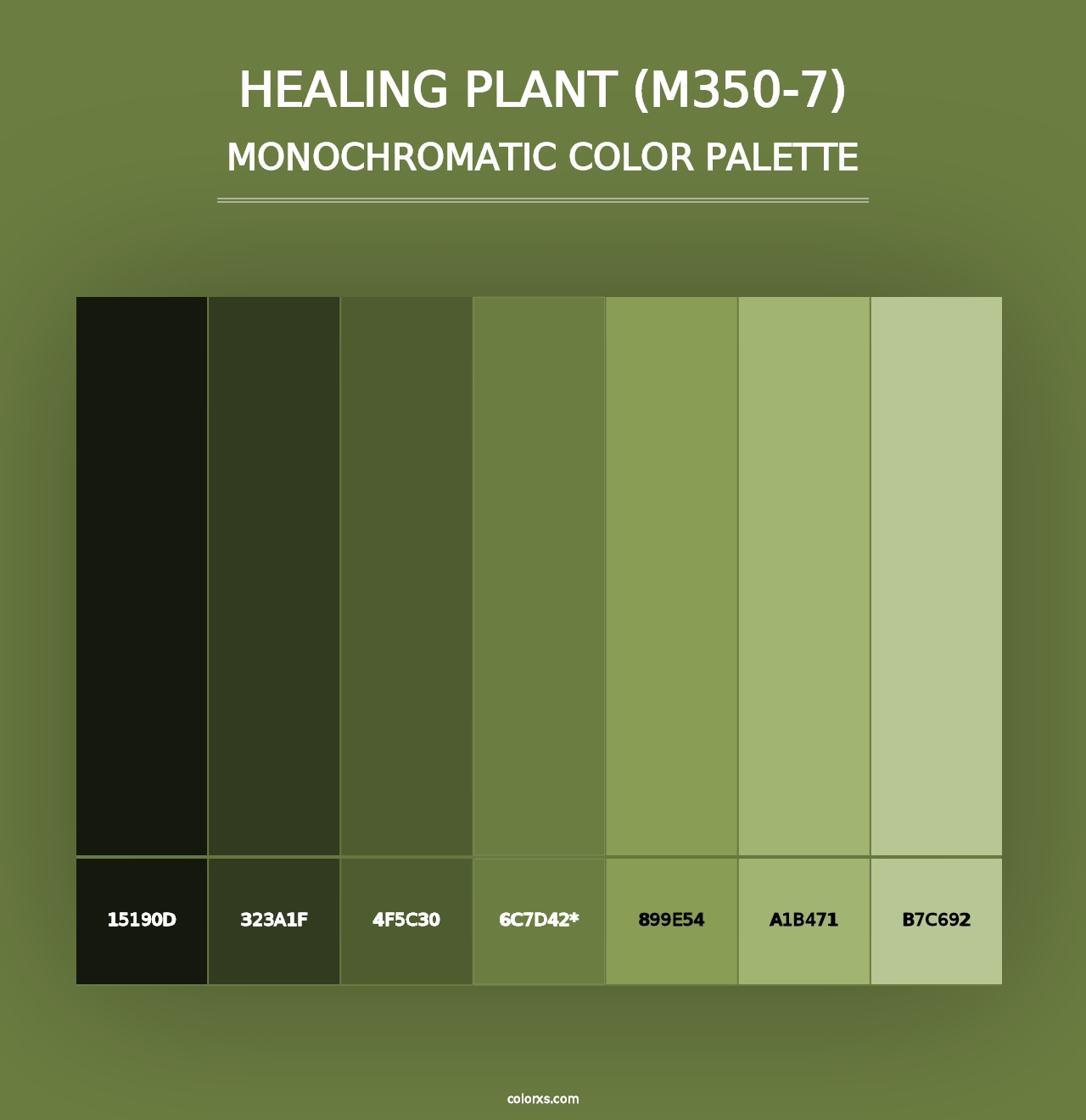 Healing Plant (M350-7) - Monochromatic Color Palette