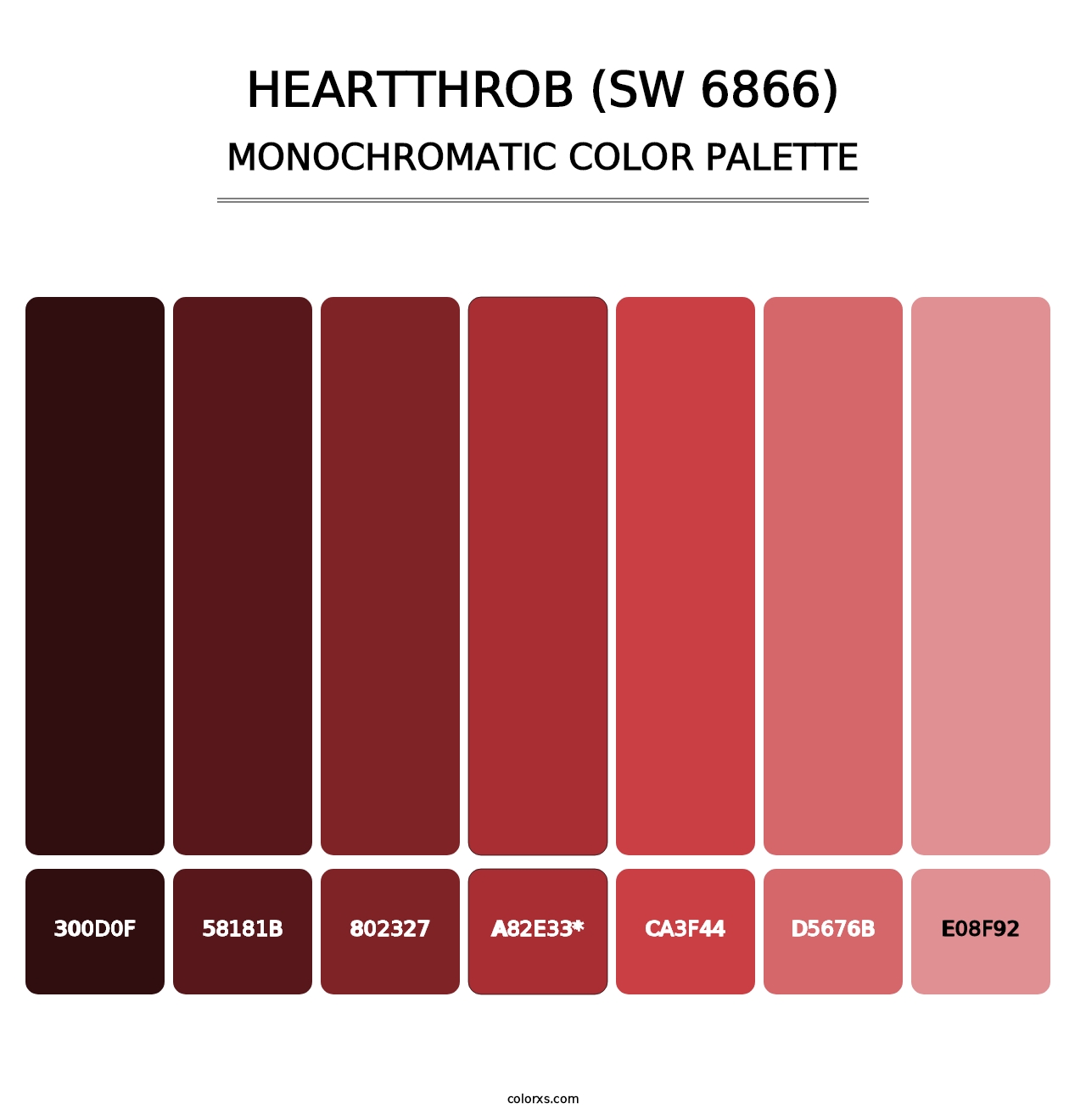 Heartthrob (SW 6866) - Monochromatic Color Palette