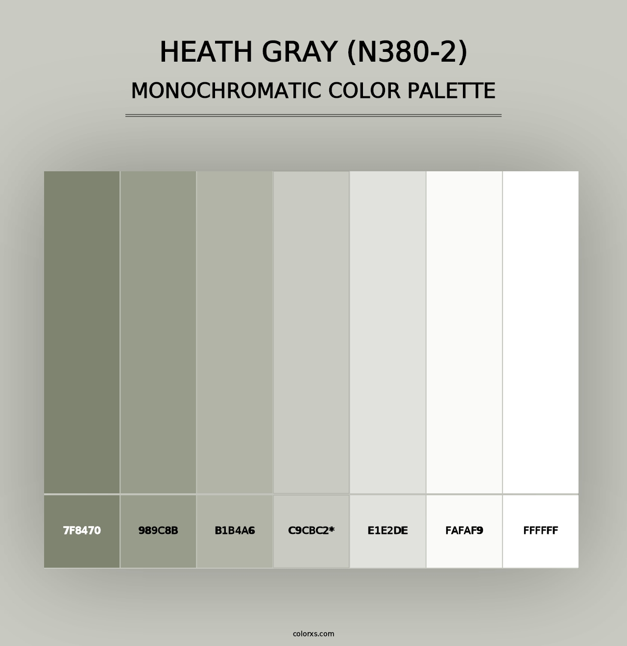 Heath Gray (N380-2) - Monochromatic Color Palette