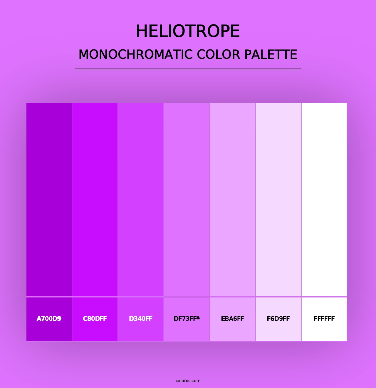 Heliotrope - Monochromatic Color Palette