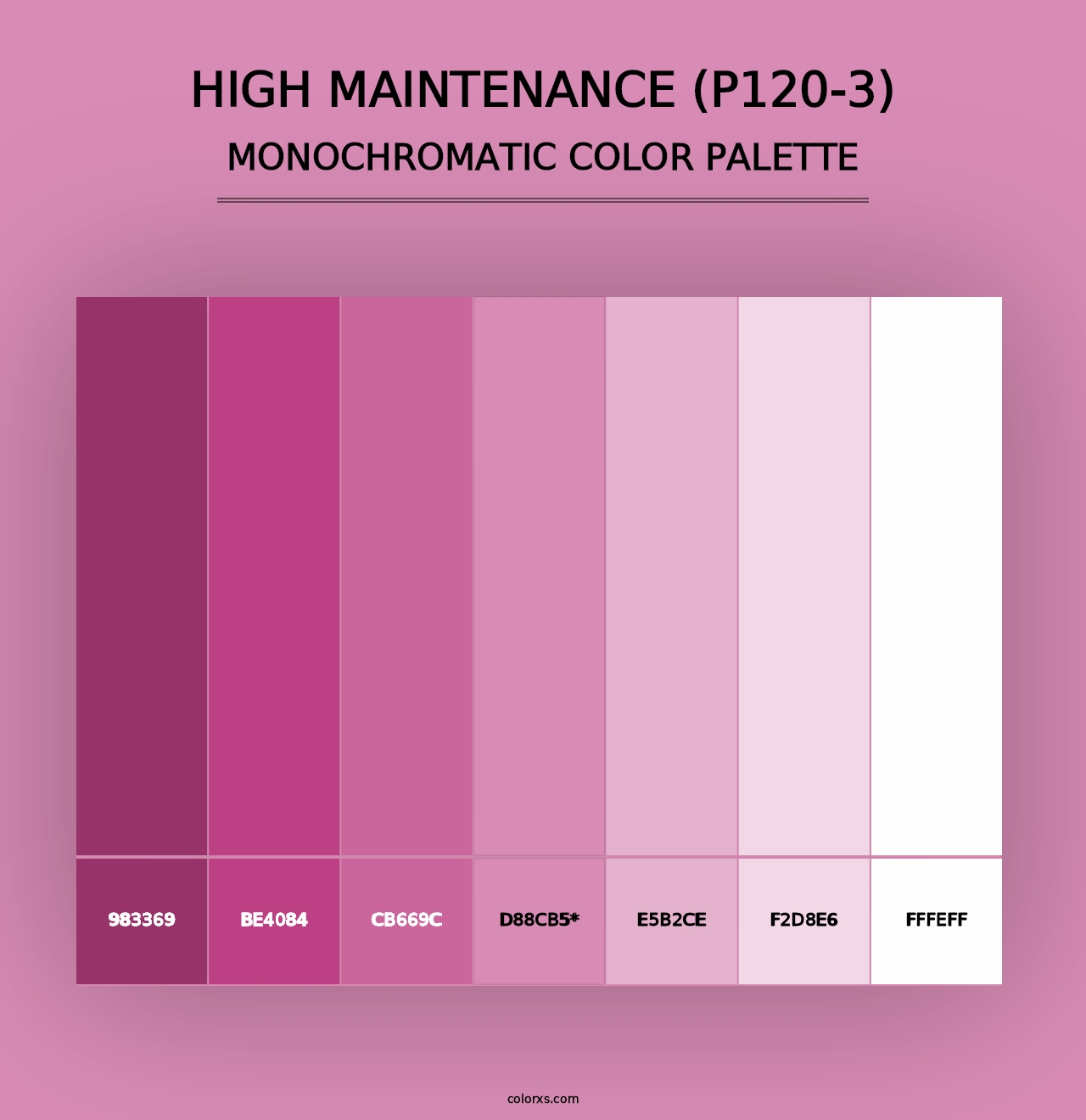 High Maintenance (P120-3) - Monochromatic Color Palette