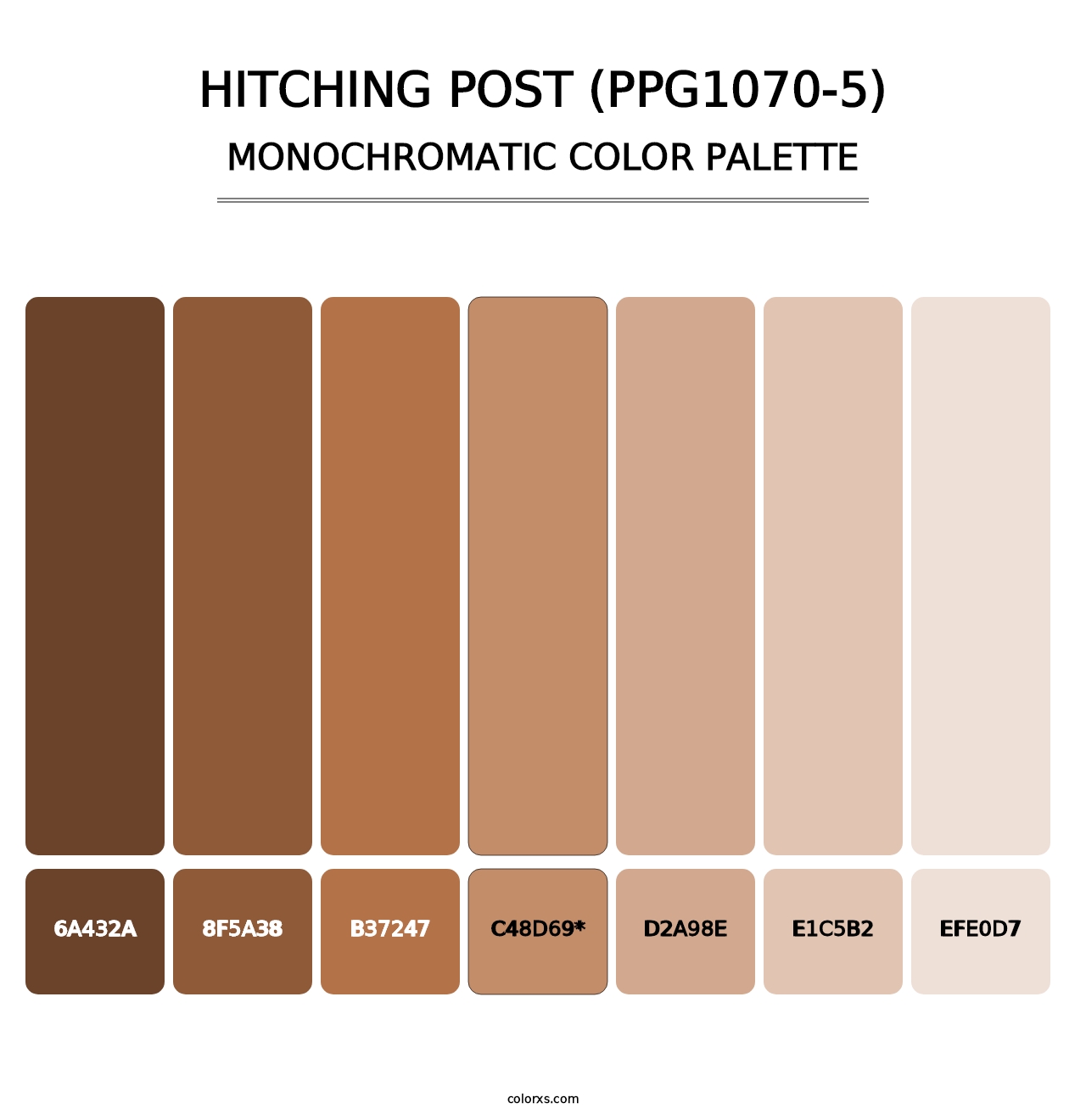 Hitching Post (PPG1070-5) - Monochromatic Color Palette