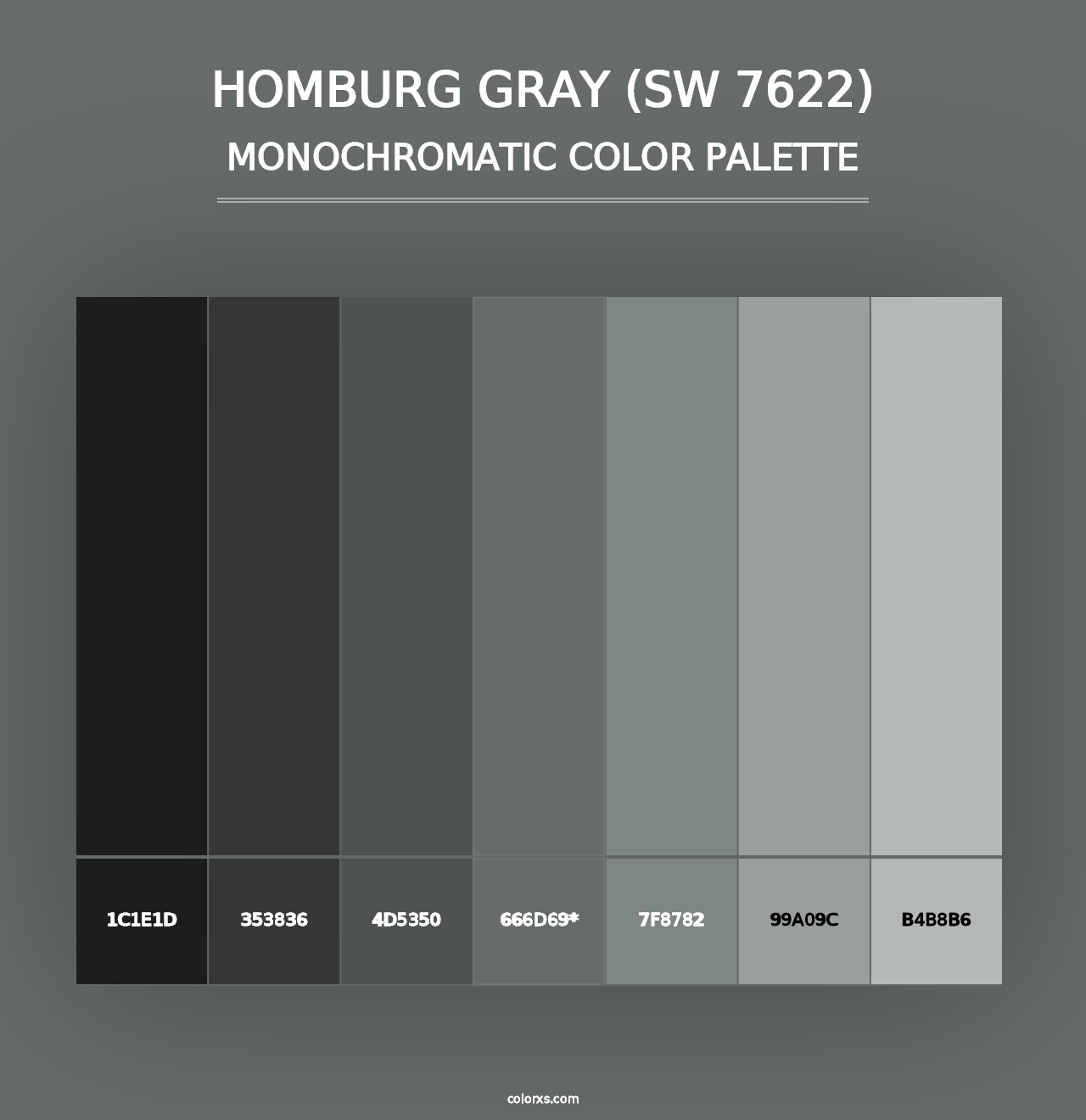 Homburg Gray (SW 7622) - Monochromatic Color Palette