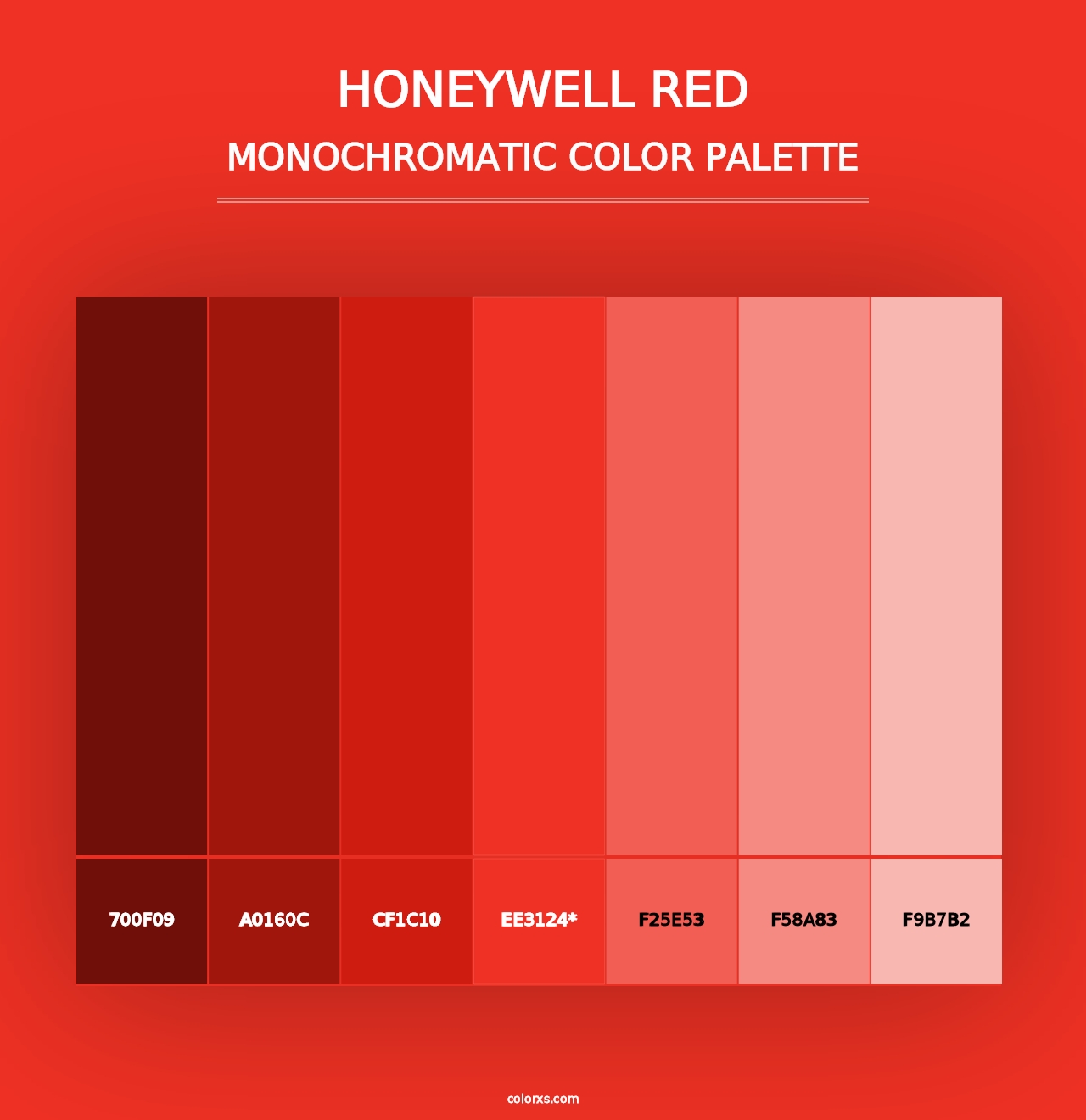 Honeywell Red - Monochromatic Color Palette