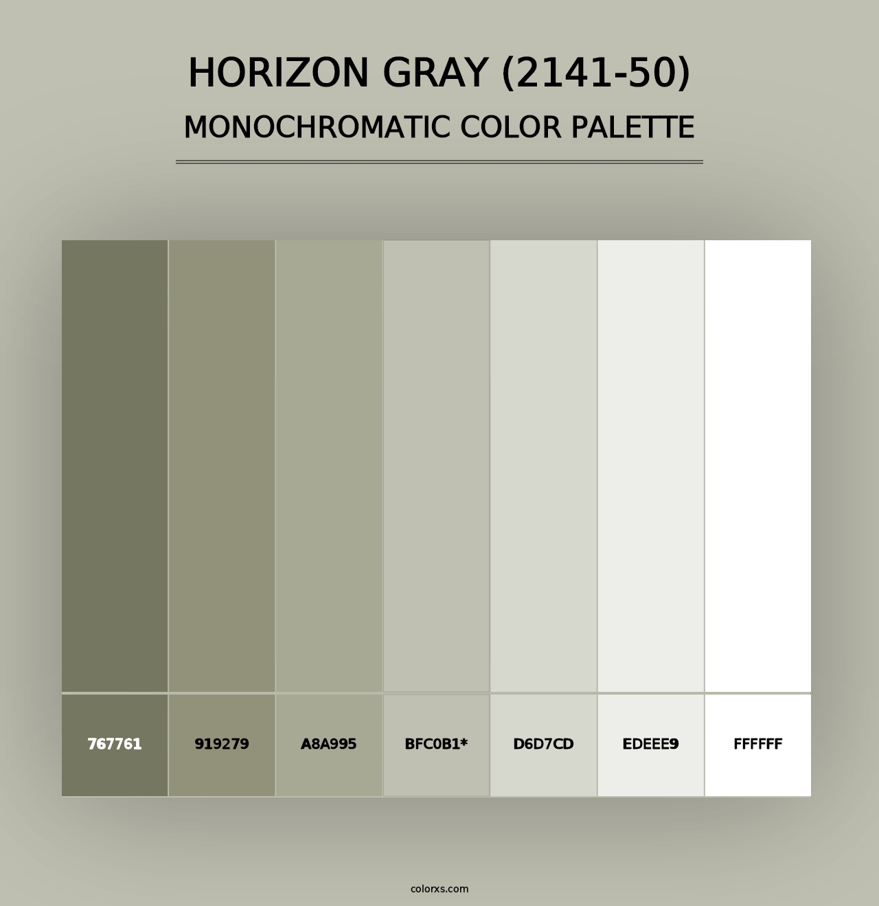 Horizon Gray (2141-50) - Monochromatic Color Palette