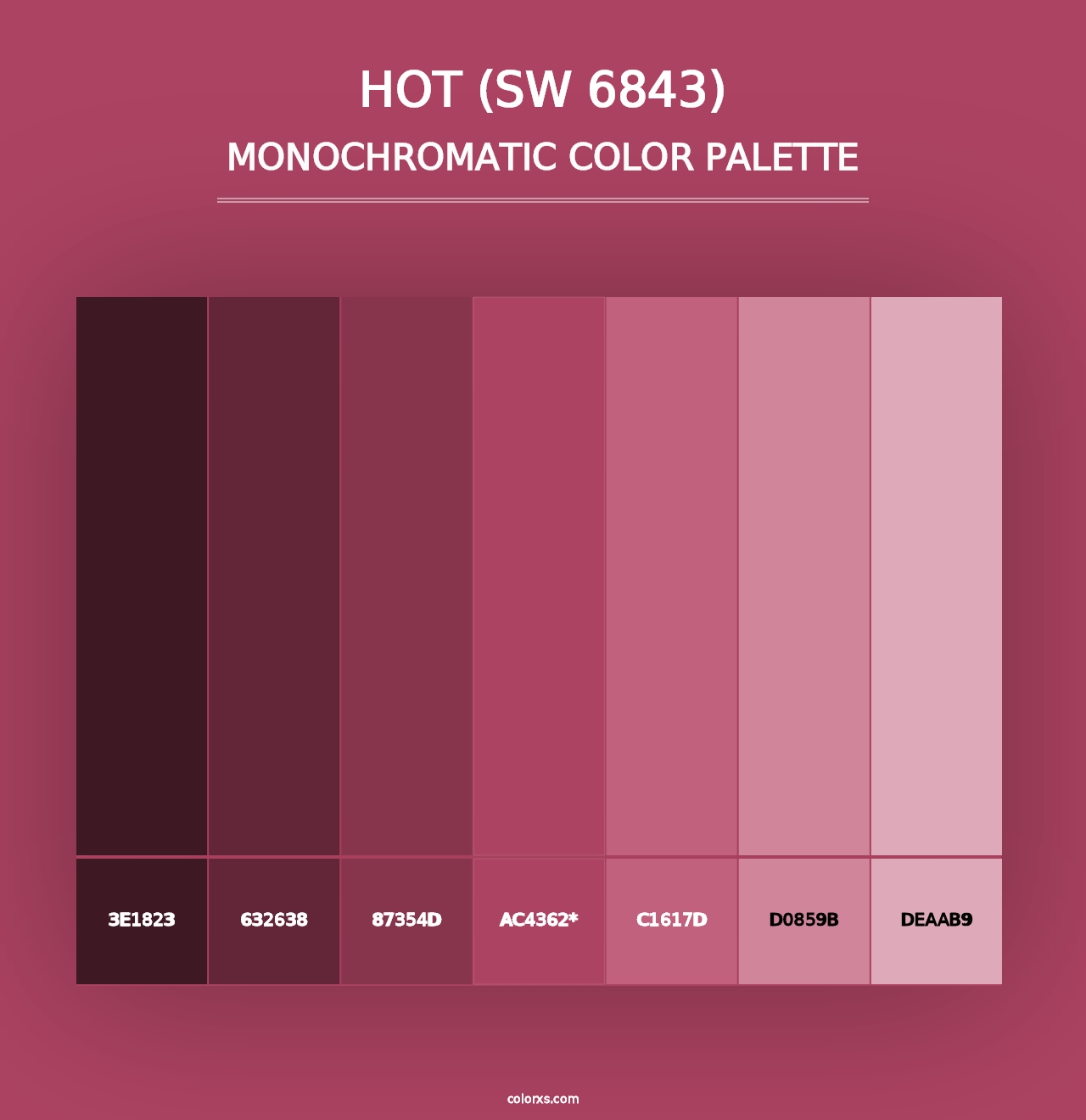 Hot (SW 6843) - Monochromatic Color Palette