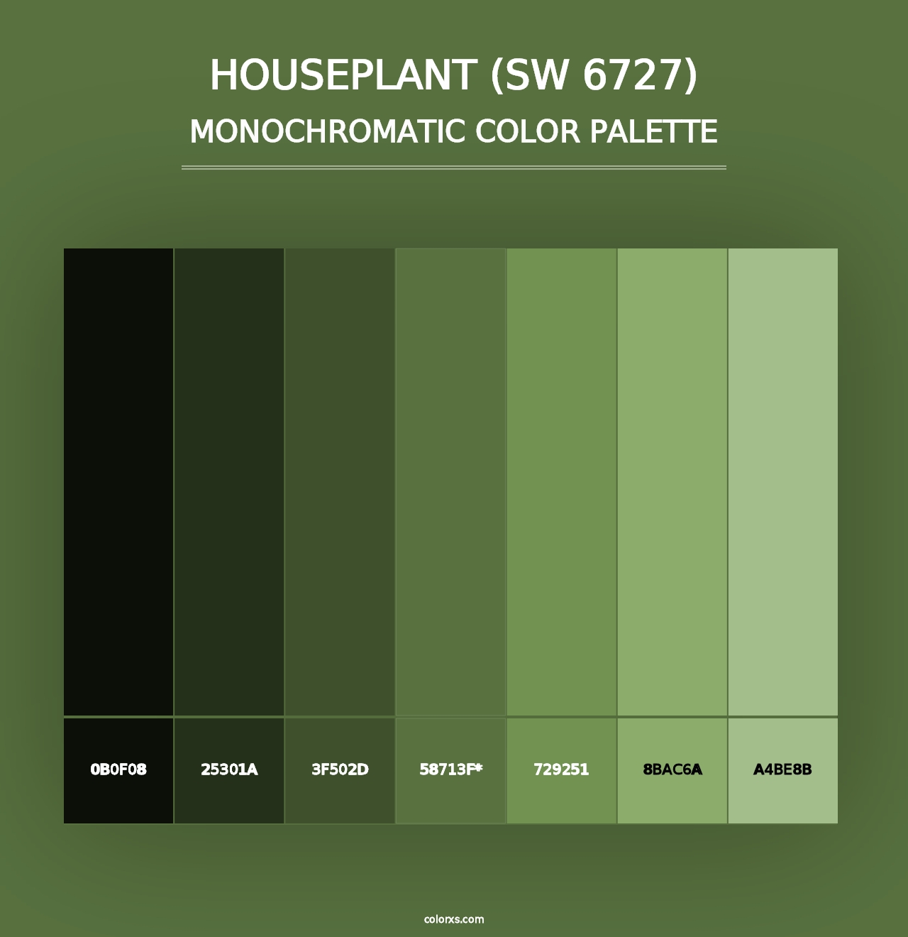 Houseplant (SW 6727) - Monochromatic Color Palette