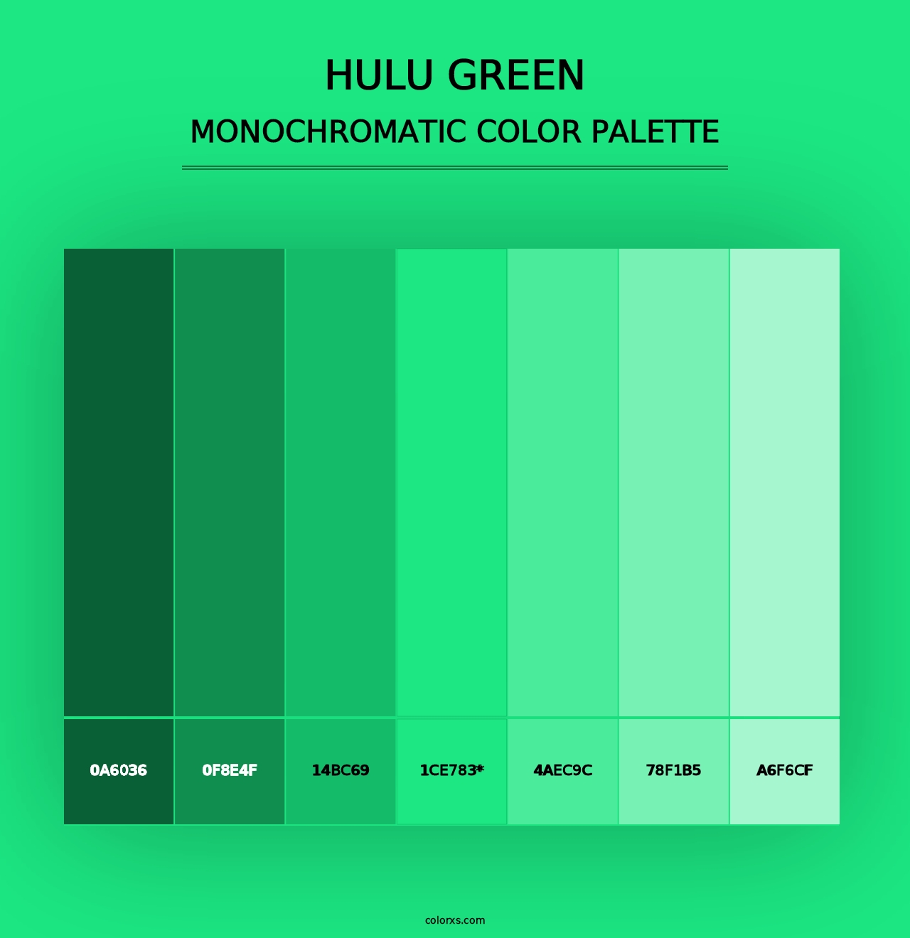 Hulu Green - Monochromatic Color Palette