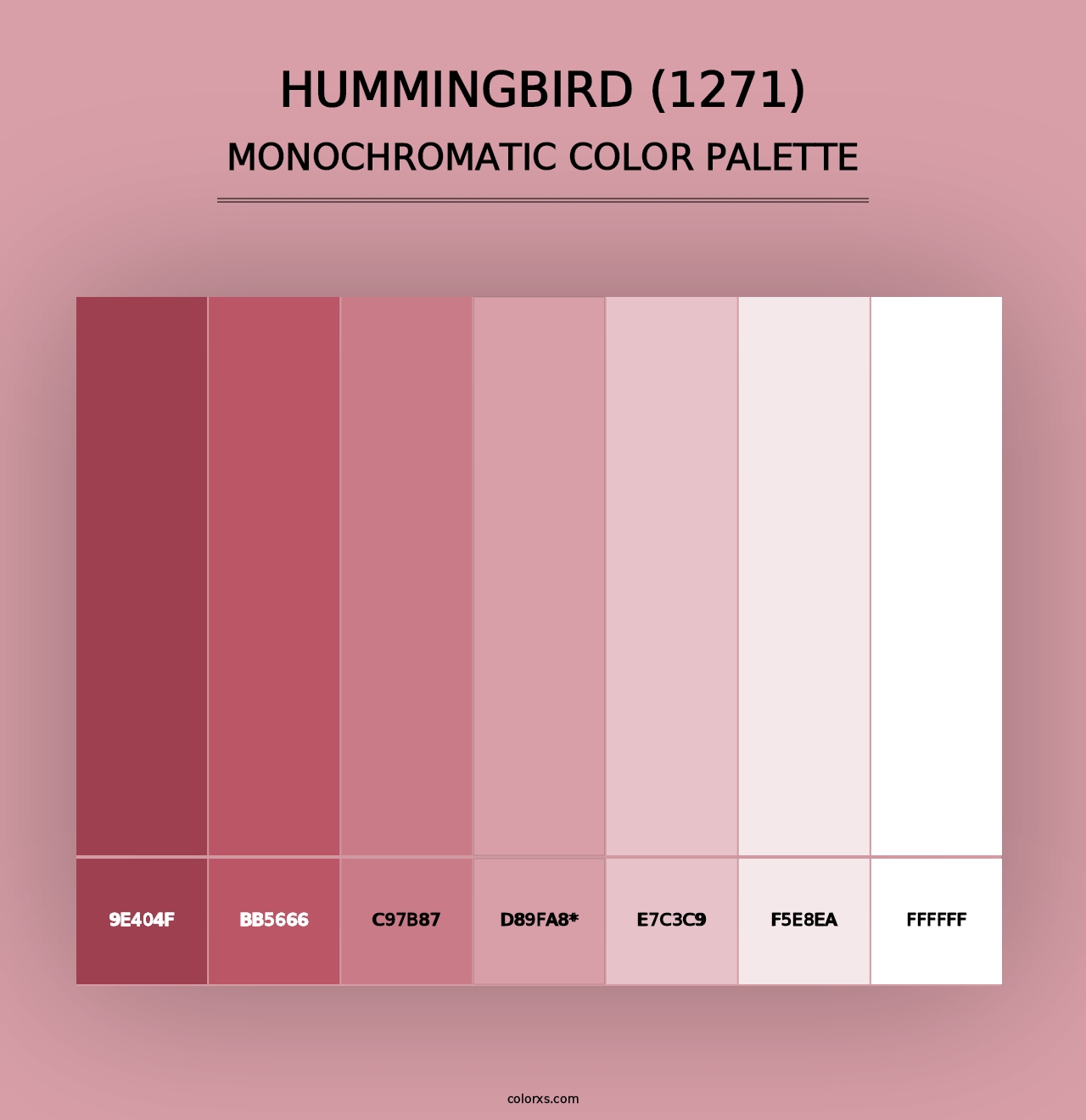 Hummingbird (1271) - Monochromatic Color Palette