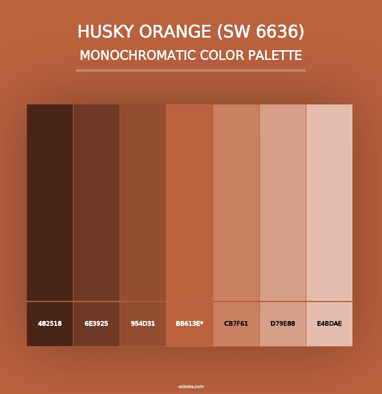 Husky Orange (SW 6636) - Monochromatic Color Palette