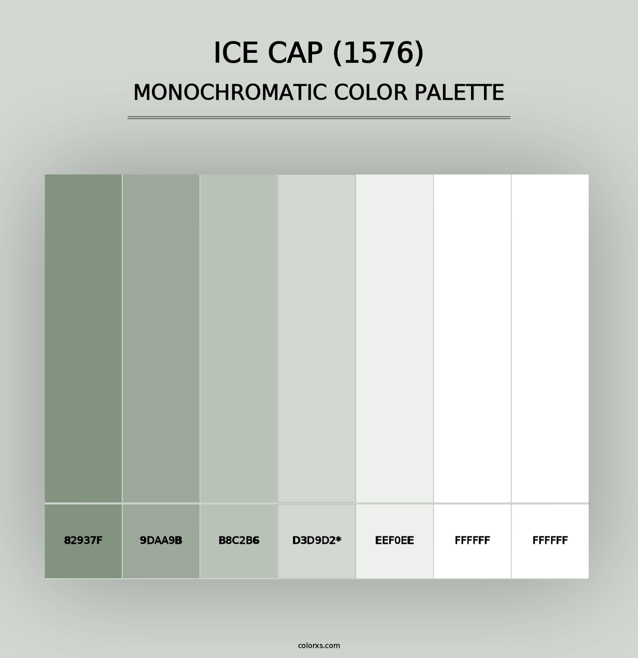 Ice Cap (1576) - Monochromatic Color Palette