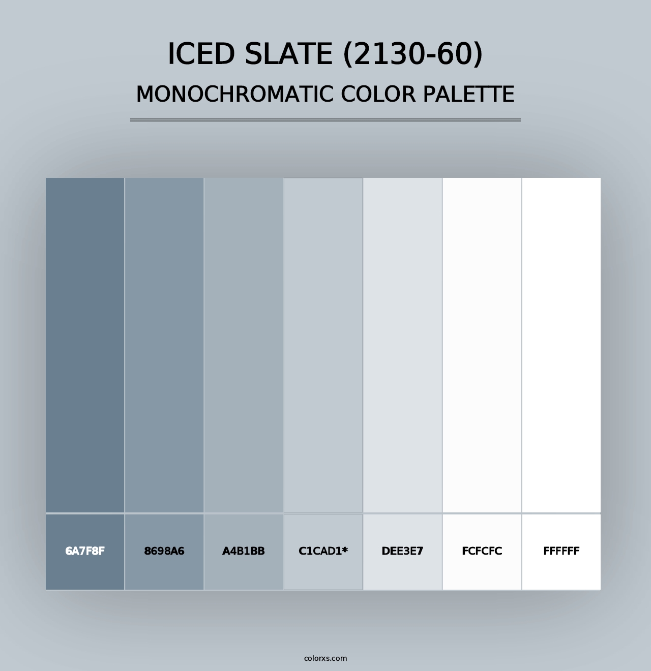 Iced Slate (2130-60) - Monochromatic Color Palette