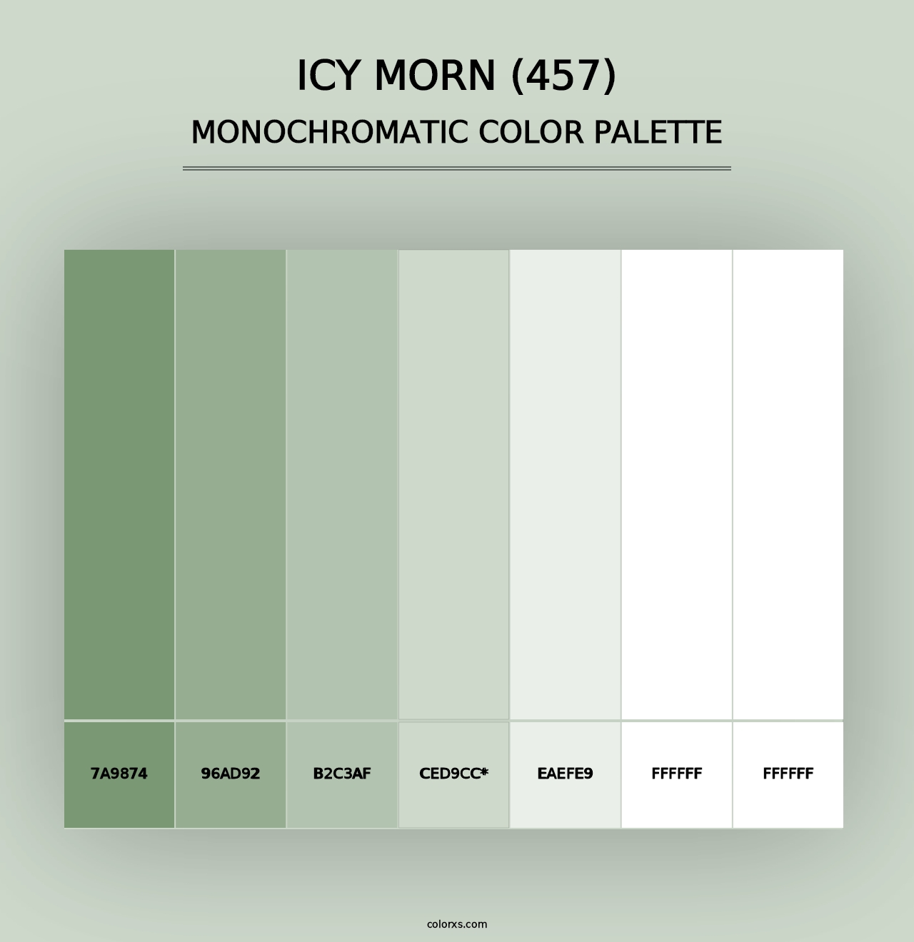 Icy Morn (457) - Monochromatic Color Palette