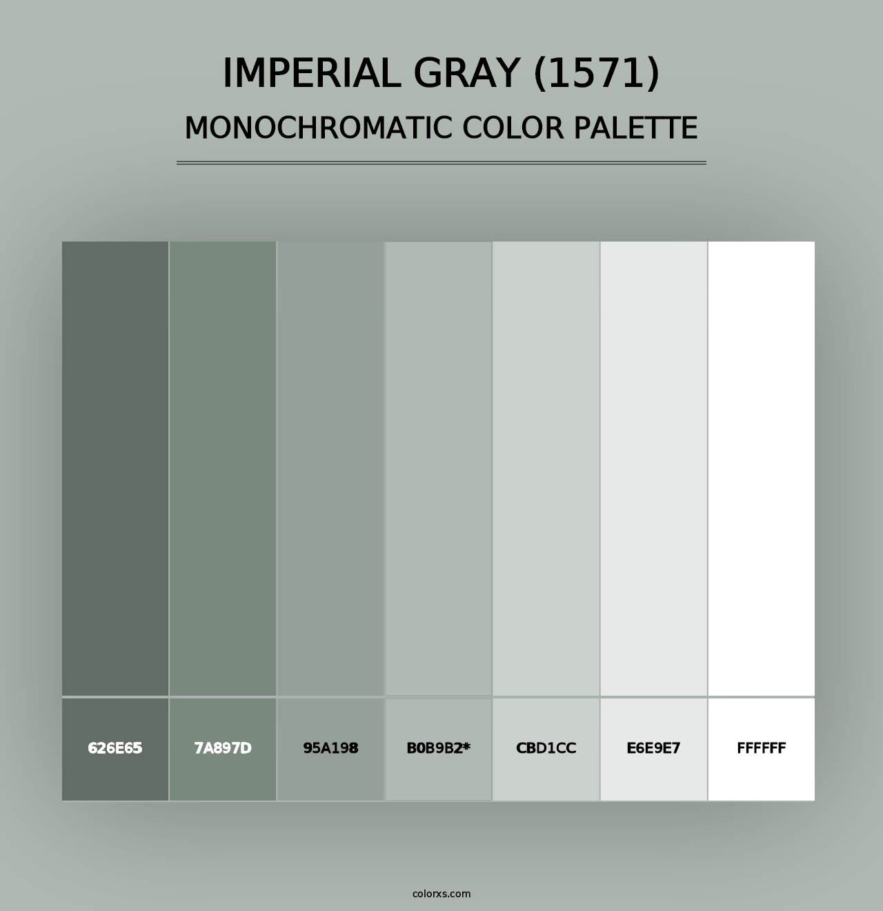 Imperial Gray (1571) - Monochromatic Color Palette