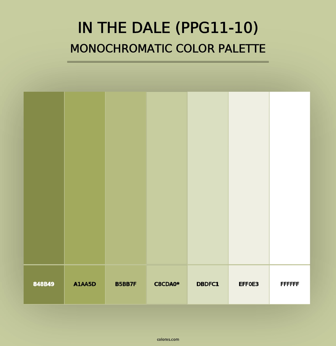 In The Dale (PPG11-10) - Monochromatic Color Palette