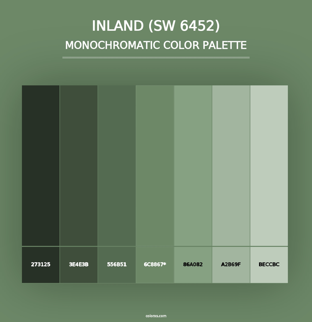 Inland (SW 6452) - Monochromatic Color Palette