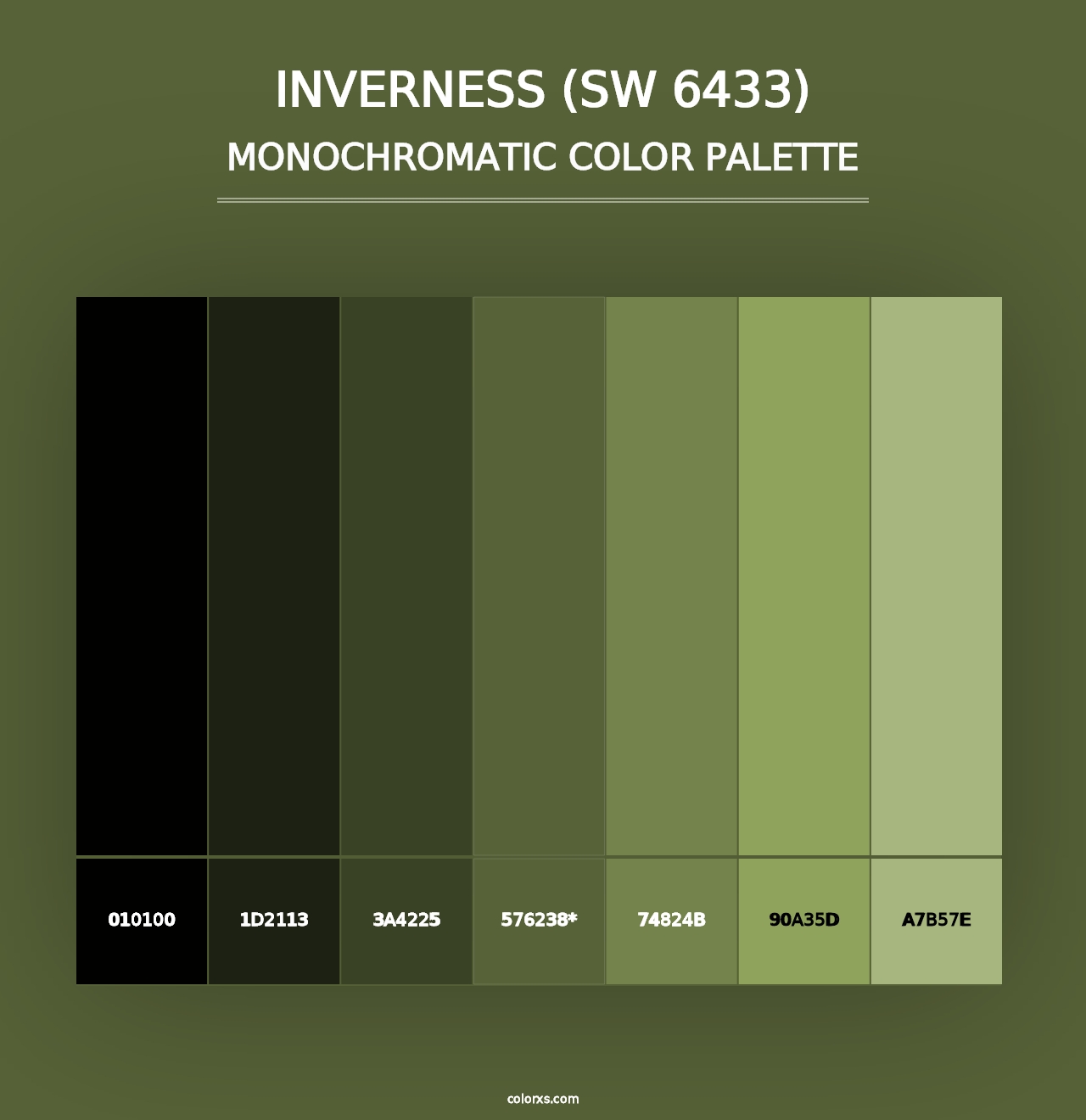 Inverness (SW 6433) - Monochromatic Color Palette