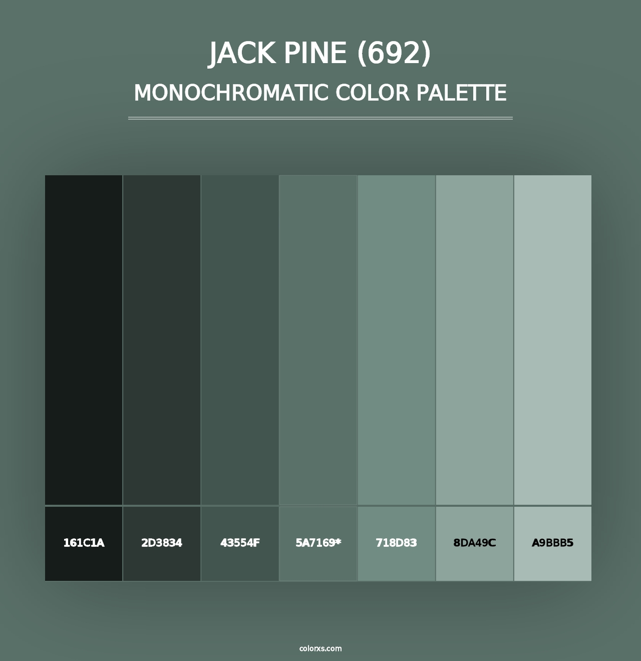 Jack Pine (692) - Monochromatic Color Palette