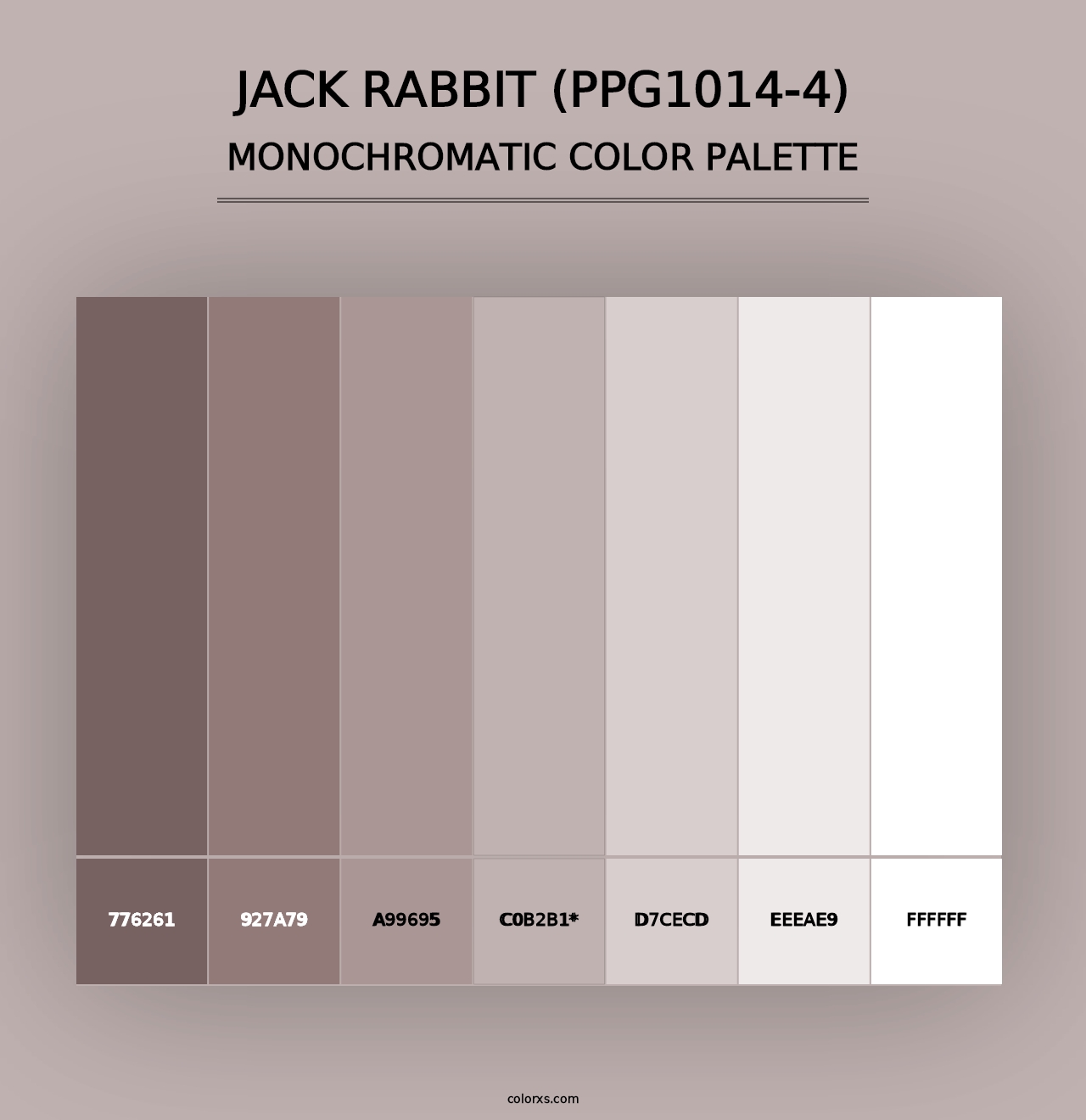 Jack Rabbit (PPG1014-4) - Monochromatic Color Palette