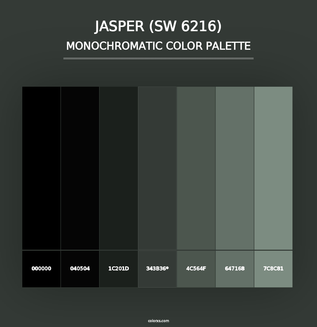 Jasper (SW 6216) - Monochromatic Color Palette