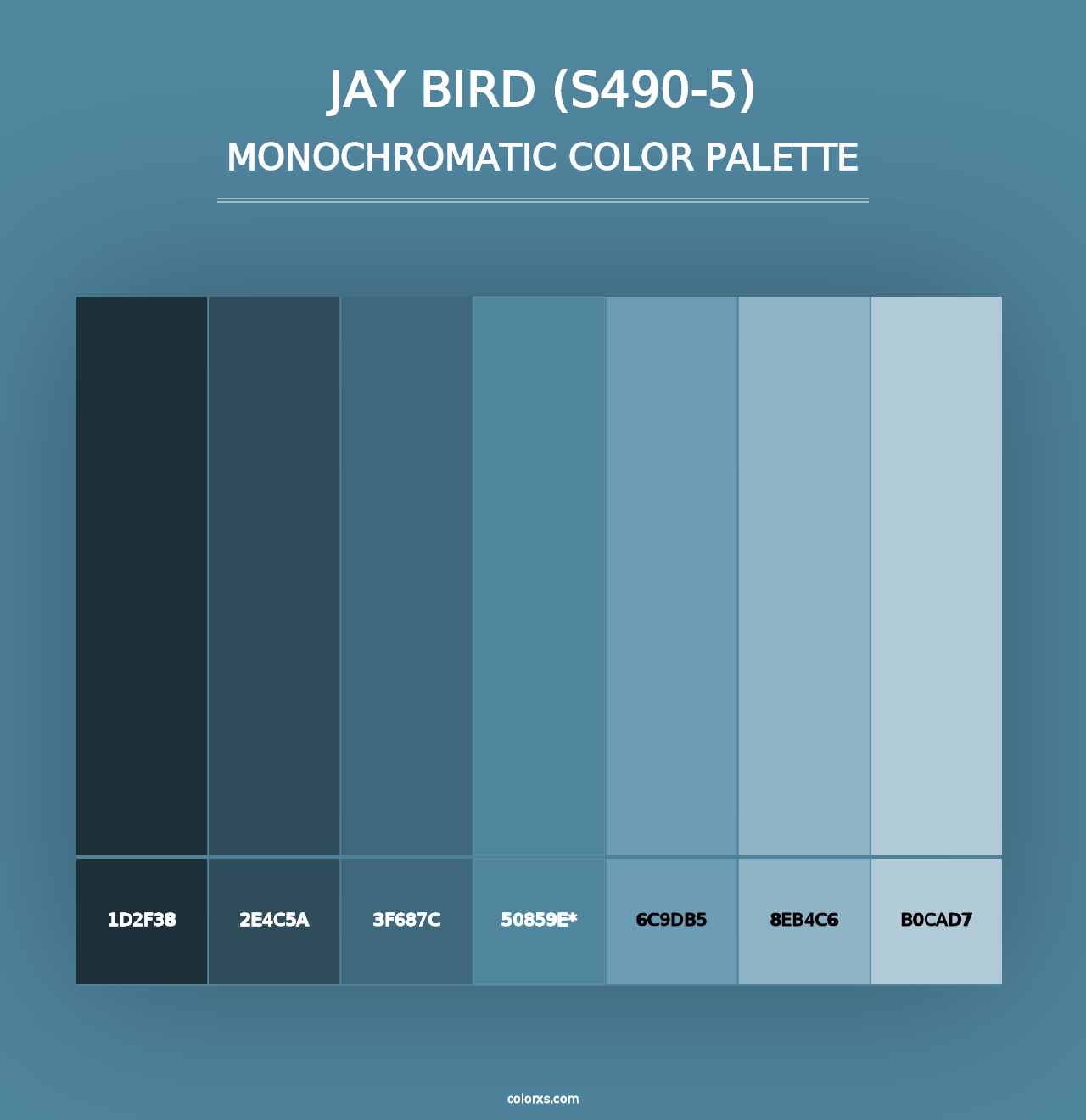 Jay Bird (S490-5) - Monochromatic Color Palette