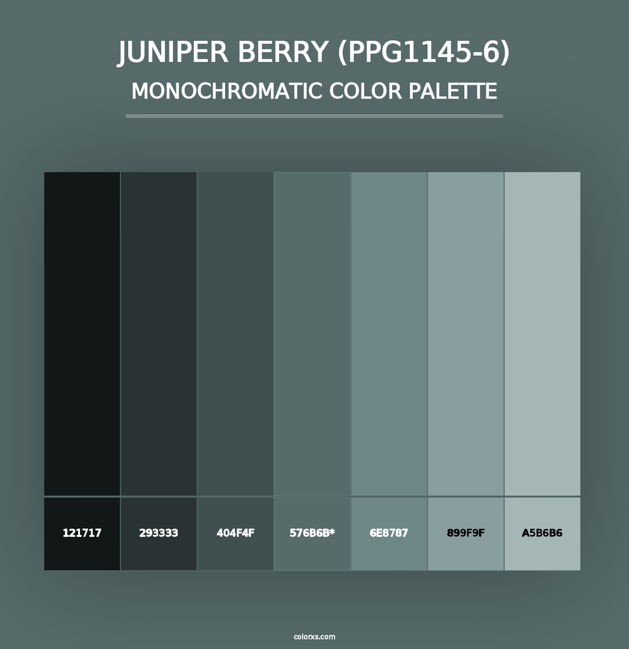 Juniper Berry (PPG1145-6) - Monochromatic Color Palette