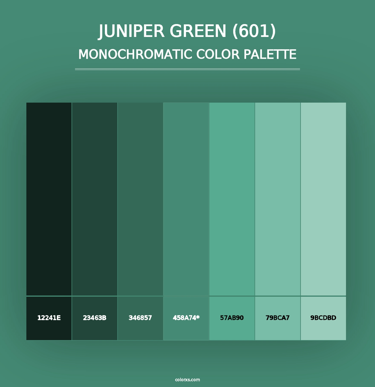 Juniper Green (601) - Monochromatic Color Palette