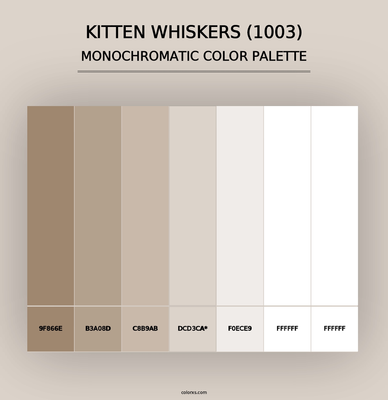 Kitten Whiskers (1003) - Monochromatic Color Palette