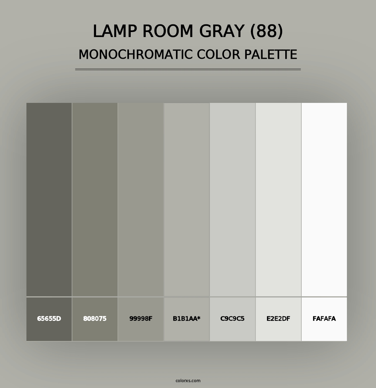 Lamp Room Gray (88) - Monochromatic Color Palette