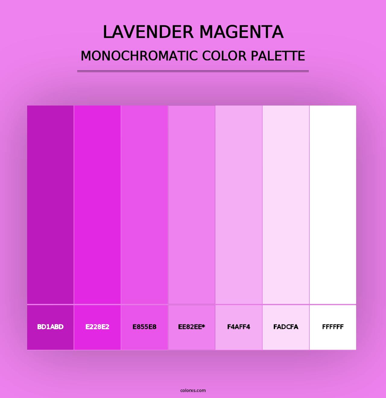 Lavender Magenta - Monochromatic Color Palette