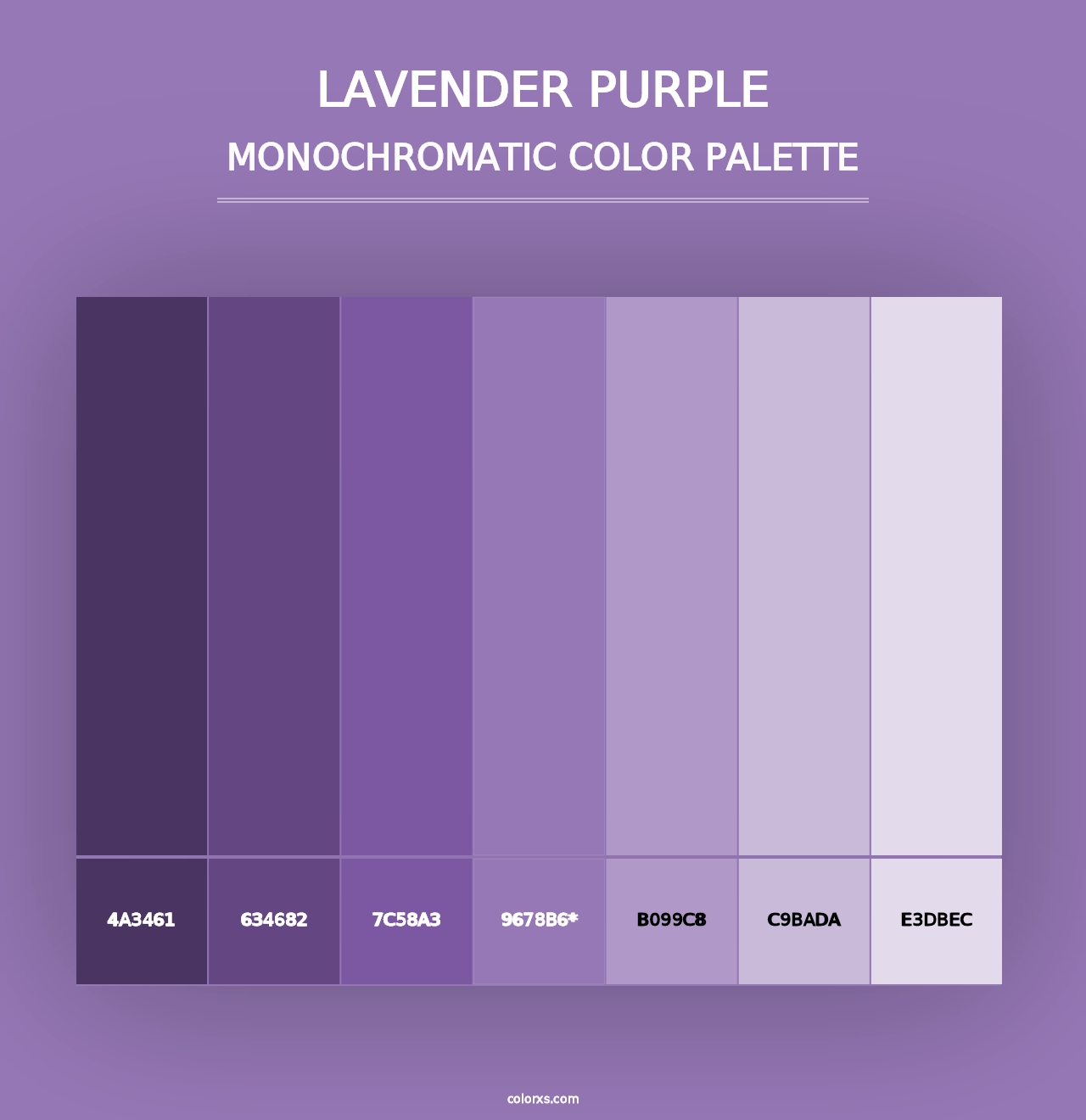 Lavender Purple - Monochromatic Color Palette