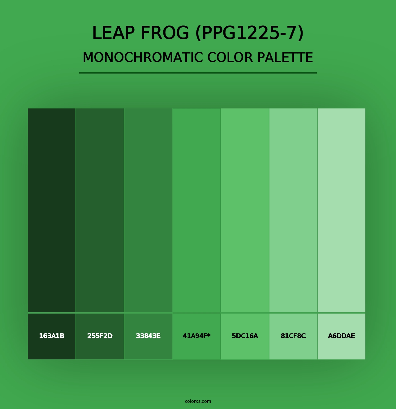 Leap Frog (PPG1225-7) - Monochromatic Color Palette