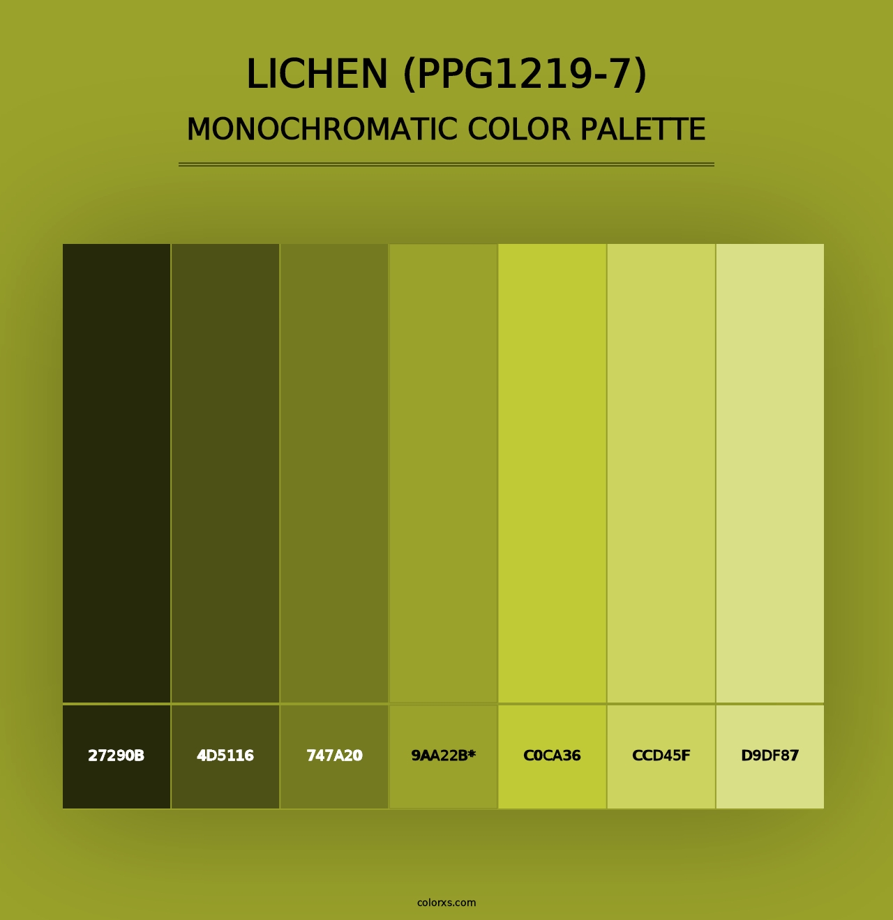 Lichen (PPG1219-7) - Monochromatic Color Palette