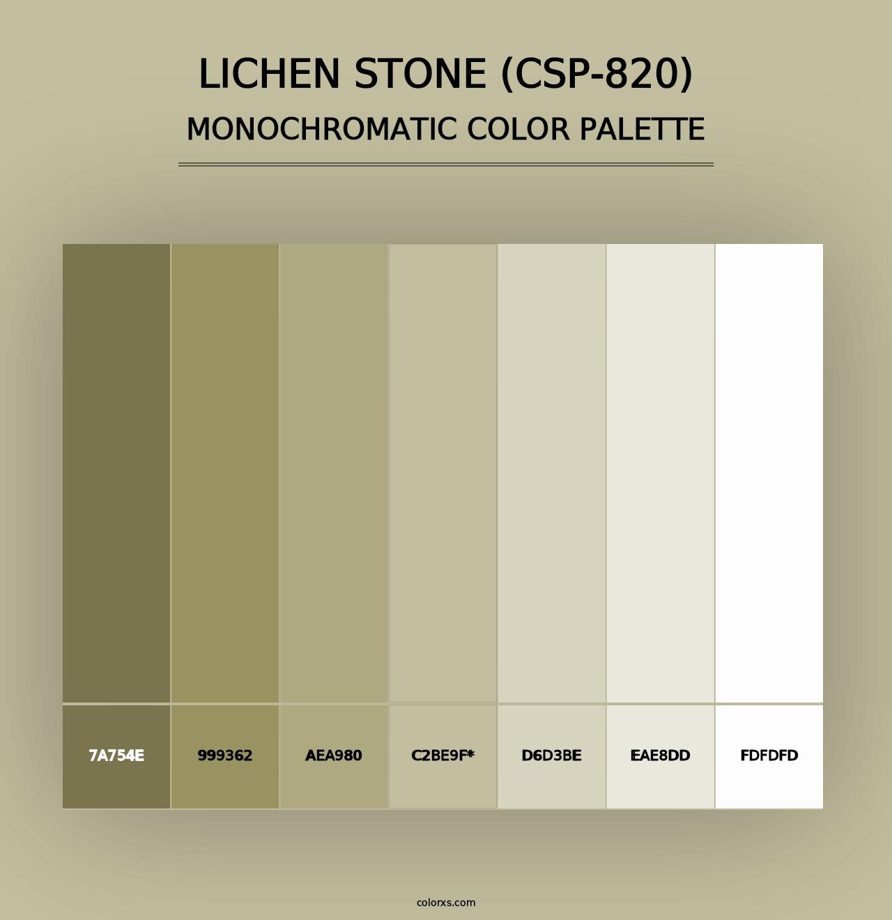 Lichen Stone (CSP-820) - Monochromatic Color Palette