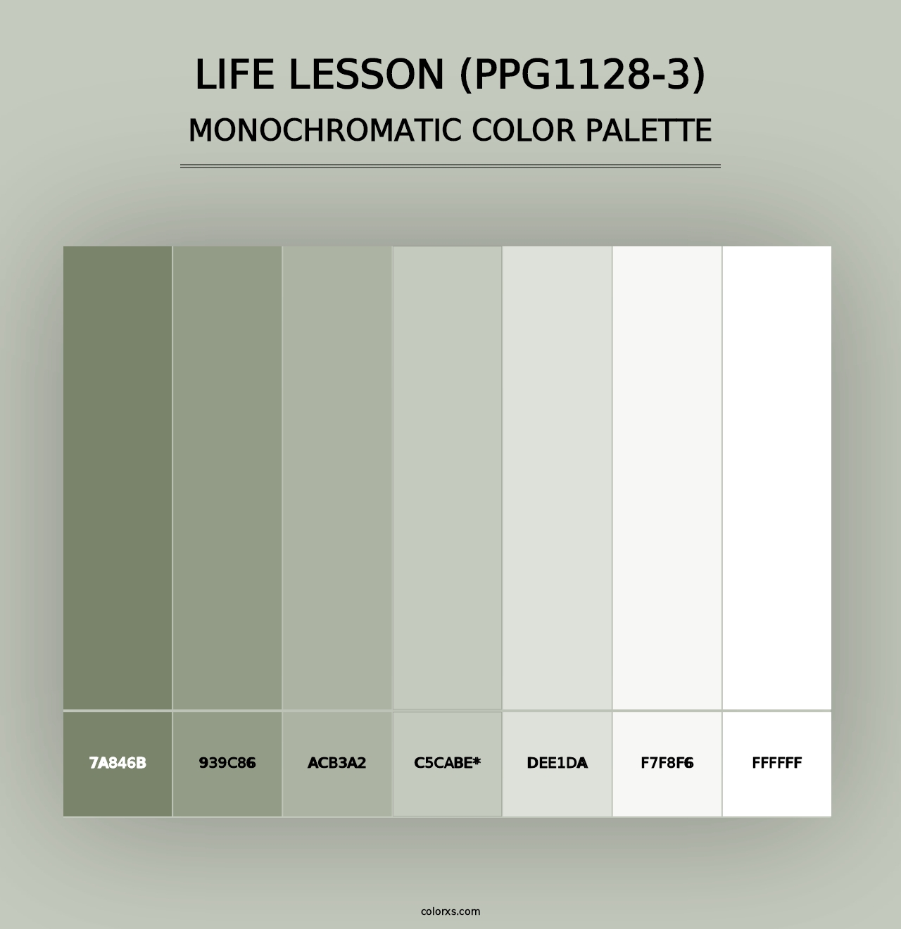 Life Lesson (PPG1128-3) - Monochromatic Color Palette