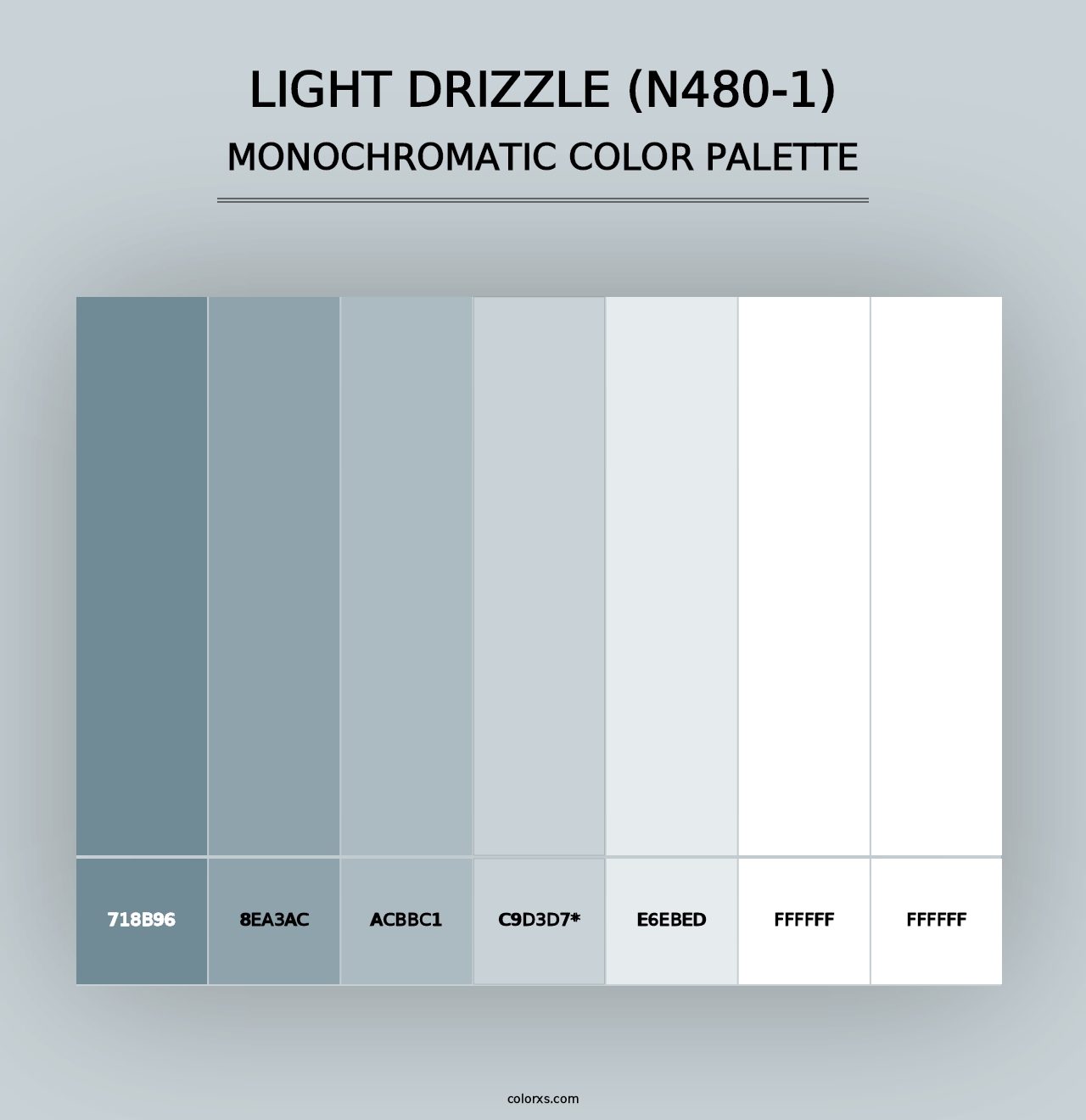 Light Drizzle (N480-1) - Monochromatic Color Palette