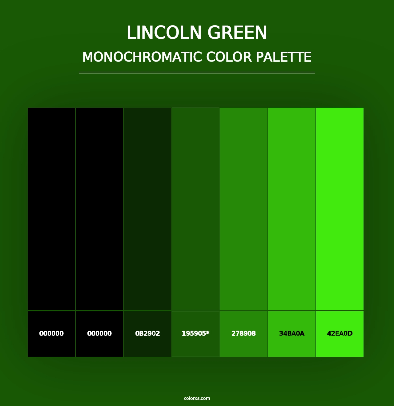 Lincoln Green - Monochromatic Color Palette