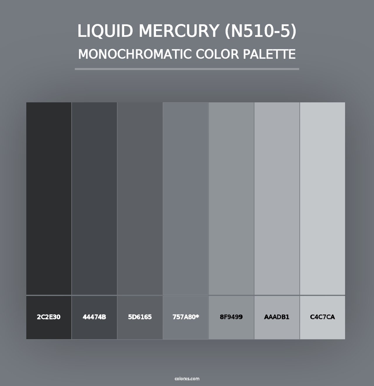 Liquid Mercury (N510-5) - Monochromatic Color Palette