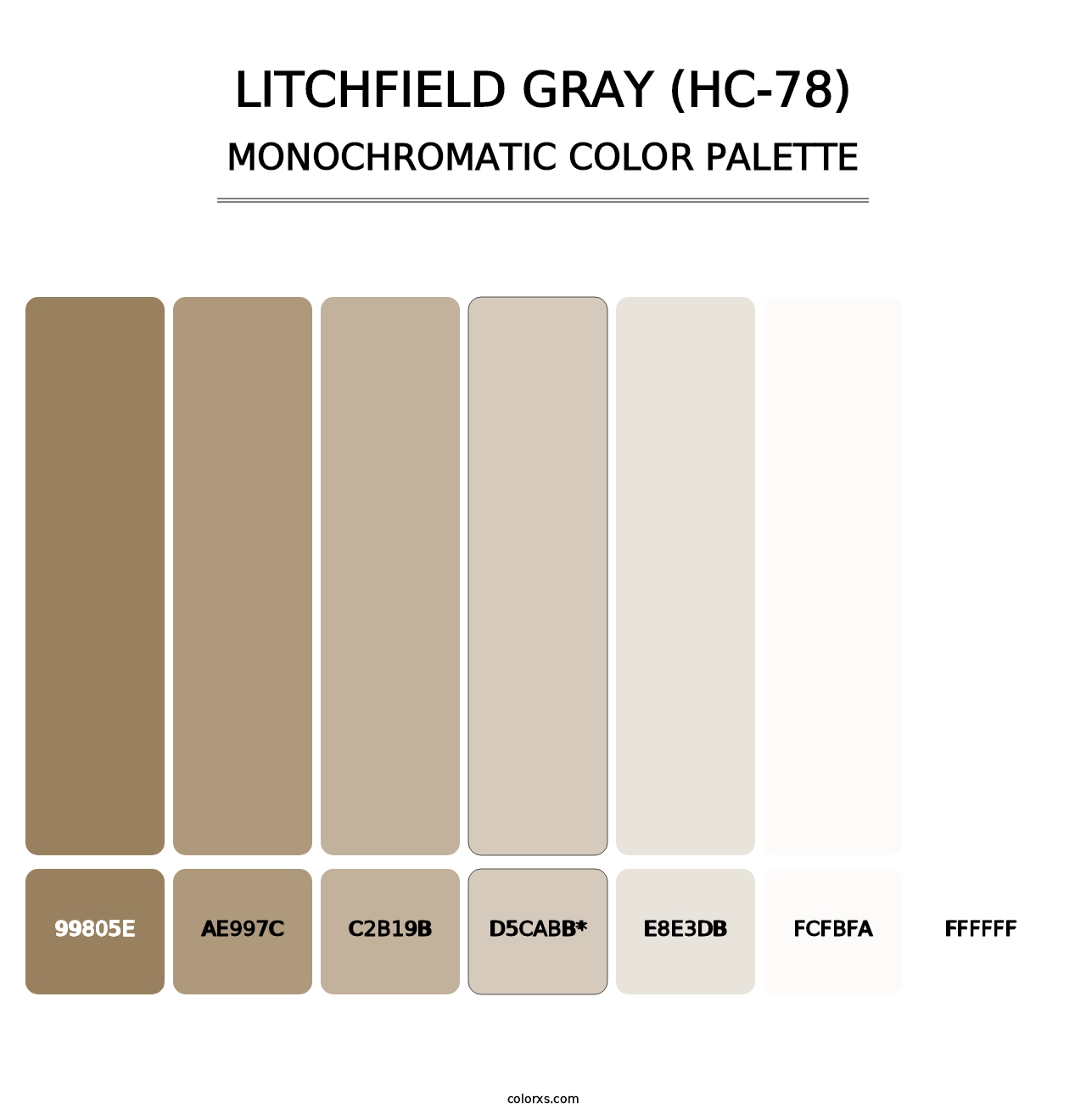 Litchfield Gray (HC-78) - Monochromatic Color Palette